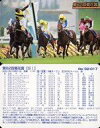 【中古】スポーツ/レギュラーカード/まねき馬カード 新 まねき馬 No.’02-017 レギュラーカード ：第62回菊花賞