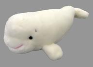 【中古】ぬいぐるみ ベルーガ(メス) ぬいぐるみ(S) 名古屋水族館限定