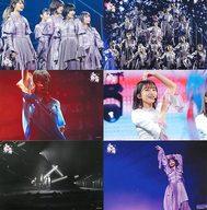 ポストカード 櫻坂46 ポストカードセットF(6枚組) 「Blu-ray/DVD 1st YEAR ANNIVERSARY LIVE-with Graduation Ceremony- 完全生産限定盤」 封入特典