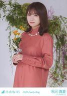 【中古】生写真(乃木坂46)/アイドル/乃木坂46 秋元真夏/上半身/2022 福袋 Lucky Bag 「カレンダー衣装」