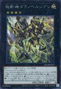 yÁzVY/SE/GNV[YX^[/QUARTER CENTURY DUELIST BOX SPECIAL PACK QCDB-JP041[SE]Fa@_xVA