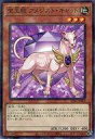 【中古】遊戯王/NP/効果モンスター/