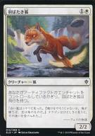 ͥåȥå׽ٲϲŷԾŹ㤨֡šۥޥå㥶/ܸ/C/ɥ쥤β/ [C]Ф/FlutterfoxפβǤʤ200ߤˤʤޤ