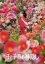 【中古】クリアファイル 橋本環奈(千尋) A4クリアファイル 「舞台『千と千尋の神隠し』」