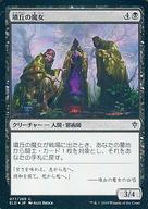 【中古】マジックザギャザリング/日本語版FOIL/C/エルドレインの王権/黒 [C]：【FOIL】墳丘の魔女/Barrow Witches