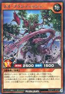 šͷåǥ奨/R/̥󥹥/ǥå¤ѥå Υեƥ!! RD/KP11-JP035[R]ͥץ...
