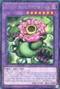 【中古】遊戯王/R/融合モンスター/韓国語版/リンク・ヴレインズ・パック3 LVP3-KR072[R]：捕食植物キメラフレシア