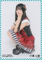 【中古】生写真(AKB48・SKE48)/アイドル/AKB48 小濱心