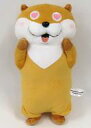 【中古】ぬいぐるみ カワウソ(B/ハート目) ぬきゅんBIGぬいぐるみ 「可愛い嘘のカワウソ」