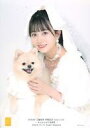 【中古】生写真(AKB48 SKE48)/アイドル/SKE48 江籠裕奈/上半身 A4サイズ/江籠裕奈 卒業記念写真セット