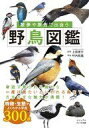 発売日 2024/03/09 メーカー 大和書房 型番 - JAN 9784479320869 備考 生物科学・一般生物学 関連商品はこちらから 大和書房　