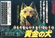 【中古】販促品 ≪リーフレット・小冊子≫ フライヤー)黄金の犬