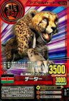 【中古】アニメ系トレカ/アニマルカード/百獣大戦 アニマルカイザー No.A013：チーター