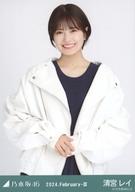 ͥåȥå׽ٲϲŷԾŹ㤨֡š̿(ǵں46/ɥ/ǵں46 ܥ쥤/Ⱦȡ쥶ߥ˥åȥ/ǵں46 2024.February-IIIײ̿פβǤʤ200ߤˤʤޤ