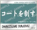 【中古】シール・ステッカー 岩泉一(コートを制す) 「ハイキュー!! フォト風メタルステッカーコレクション-お天気版権 第二弾-」