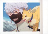 【中古】アニメ系トレカ/特『刀剣乱舞-花丸-』〜雪ノ巻〜 ぱしゃこれ 14：鳴狐