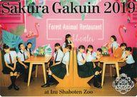 【中古】下敷き さくら学院 B5下敷き(お土産篇) 「さくら学院☆2019 夏の遠足 in 伊豆シャボテン動物公園」