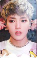 【中古】コレクションカード(男性)/「SuperM We Are The Future Live in Fort Worth」(北米ツアー限定)フォトカード SuperM/テヨン(TAEYONG)/裏面黒/「SuperM We Are The Future Live in Fort Worth」(北米ツアー限定)フォトカード