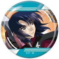 šۥХåӥ 󡦥 ̥Хå ֵưΥSEED DESTINY