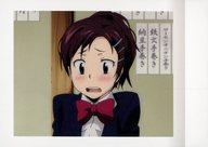 【中古】アニメ系トレカ/家庭教師ヒットマン REBORN! ぱしゃこれ 第3弾 31：三浦ハル