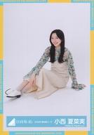【中古】生写真(乃木坂46)/アイドル/日向坂46 小西夏