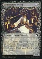 【中古】マジックザギャザリング/英語版FOIL/C/白/イニストラード：真夜中の狩り 287[C]：【MID】【FOI..