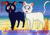 gl326391m.jpg
