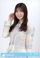 ����š����̿�(ǵ�ں�46)/�����ɥ�/������46 9������ڽ�/CD�ַ��ϥϥˡ��ǥ塼�׽����͸����� TYPE-C(SRCL-12864��5)������ŵ���̿�