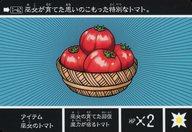 【中古】アニメ系トレカ/ノーマル/SDガンダム外伝NEO 禁じられた魔法 竜神の巫女 プレミアムバンダイ限..