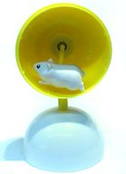 šۥȥ졼ǥ󥰥ե奢  ֥쥯 !ϥॹ󤷼֡