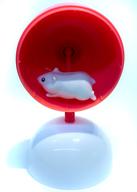 šۥȥ졼ǥ󥰥ե奢 å ֥쥯 !ϥॹ󤷼֡