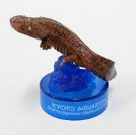 【中古】トレーディングフィギュア オオサンショウウオ(交雑種/茶) 「京都水族館フィギュアコレクション」