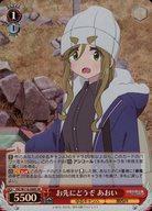 中古犬山あおい