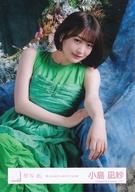 発売日 2024/08/23 メーカー Seed ＆ Flower LLC 型番 - 関連商品はこちらから Seed ＆ Flower LLC　