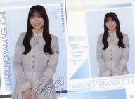 【中古】コレクションカード(乃木坂46)/｢日向坂46 カード付ツインウエハース｣プラカード＜ローソン限定＞ 16[ノーマル]：山口陽世/「日向坂46 カード付ツインウエハース」プラカード＜ローソン限定＞