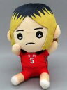 【中古】ぬいぐるみ 孤爪研磨 たすっこ ぬいぐるみ 「ハイキュー!!」(3)