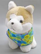 【中古】ぬいぐるみ 秋田犬 ぬいぐるみ 秋田空港&大館能代空港プロデュース