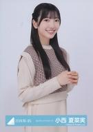 ͥåȥå׽ٲϲŷԾŹ㤨֡š̿(ǵں46/ɥ/46 ƺڼ/Ⱦ/46̿ڥ󥰥˥åȥԡۡפβǤʤ200ߤˤʤޤ