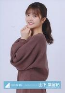 ͥåȥå׽ٲϲŷԾŹ㤨֡š̿(ǵں46/ɥ/46 α/Ⱦ/46̿ڥ󥰥˥åȥԡۡפβǤʤ200ߤˤʤޤ