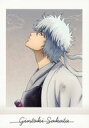 【中古】アニメ系トレカ/銀魂 ぱしゃこれ 其ノ肆 17:坂田銀時