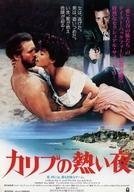 【中古】販促品 ≪リーフレット・小冊子≫ フライヤー)カリブの熱い夜