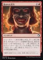 ͥåȥå׽ٲϲŷԾŹ㤨֡šۥޥå㥶/ܸ/C//˥ȥ顼ɡμ 161/277[C]MIDޤ줿/Stolen VitalityפβǤʤ200ߤˤʤޤ