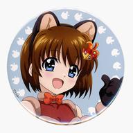 楽天市場】八神はやて（その他｜コレクション）：ホビーの通販