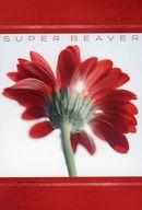 【中古】ポストカード SUPER BEAVER オリジナルポストカード(応援店 ver.) 「CD 片想い/涙の正体」 応援店購入特典