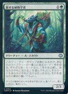 【中古】マジックザギャザリング/日本語版FOIL/U/緑/タルキール：龍嵐録 0164[U]：【TDM】【FOIL】旅す..