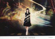 【中古】ポストカード(女性) 向井葉月 ポストカード(背景：黒) 「乃木坂46 真夏の全国ツアー2019」 会場限定 乃木坂46 Mobile 『乃木坂46ミュージアム』お土産キャンペーン B賞
