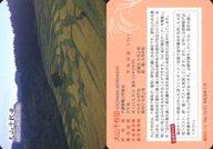 【中古】公共配布カード/千葉県/棚田に恋 棚田カード第1弾 No.12-01:大山千枚田