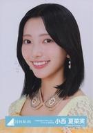 【中古】生写真(坂道シリーズ)/アイドル/日向坂46 小