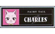 ����šۥХå����ӥ� ������ ��FAIRY TAIL 100ǯ�������� �ȥ졼�ǥ��󥰥������͡���ץ졼�ȡ�