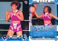 šBBM/쥮顼/BBM2009 ҥץ쥹 TRUE HEART 73[쥮顼]